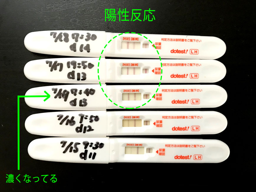 排卵検査薬を使用して妊活を再開しました Miico