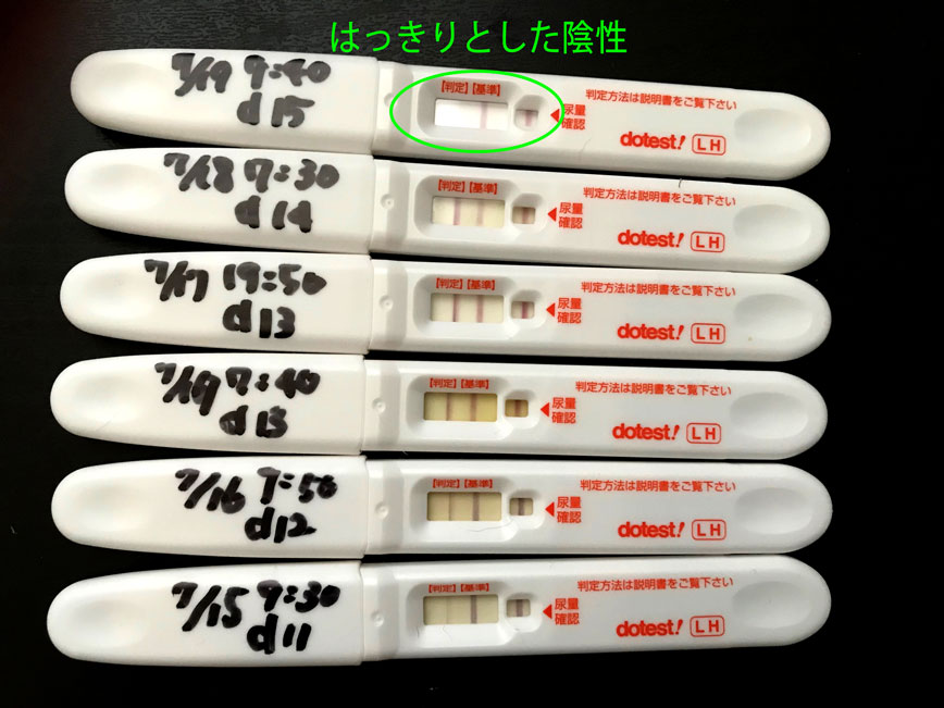 妊娠した時 排卵検査薬 9周期目 D43 高温期15日目 排卵検査薬で妊娠検査